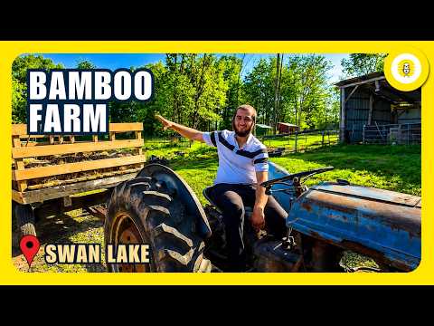 Bamboo Farm - Family Fun in Swan Lake - The Perlowitz Show