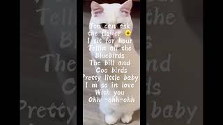Download lagu PRETTY LITTLE BABY (stereo Mix) by Connie francis #prettylittlebaby #bluebirds #trending #trending mp3