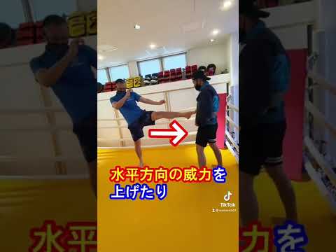 【ヤバい】最強の前蹴りの打ち方#Shorts
