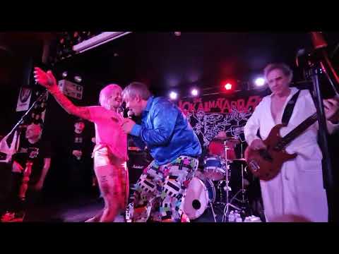 Die Lokalmatadore - Herz aus Gold (letzter Gig - Don't Panic 16.2.25)