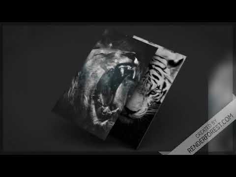 Black Wallpapers HD Offline Video