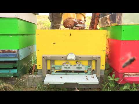 Boja meda ep. 178 03.08.2021. NAJAVA