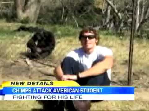 15 Insane Animal Attacks on Humans Caught on Film 15 Insane Animal Attacks on Humans Caught on Film