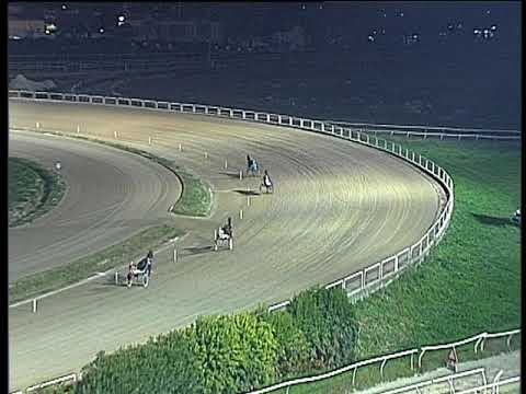 Trotto 24/11/2017 - prova di qualifica