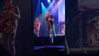 Fish Wrocław 19.10.2024f. Shadowplay