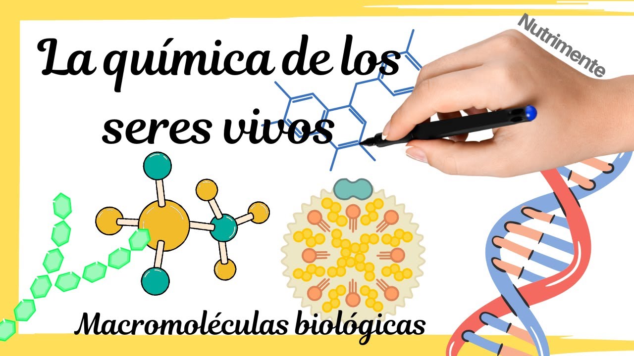 [MACROMOLÉCULAS] La química de los seres vivos