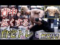 【最強背中トレ】ダンベルだけで背中の全てが鍛えられる5種目のトレーニング!解説Ver.