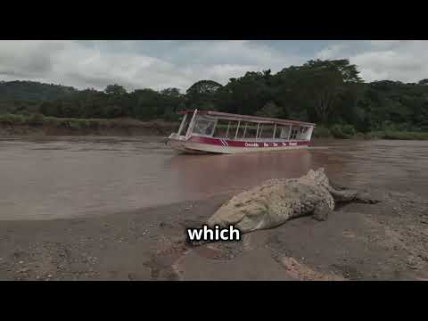 10 Must-Do Activities in Botswana 🇧🇼 | Ultimate Travel Guide