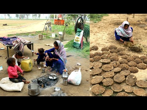 RURAL LIFE OF INDIA || VILLAGE LIFE OF INDIA || INDIAN RURAL LIFE/ VILLAGER LIFE/ BHARAT LIFE Video