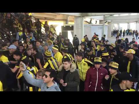 "Hinchada de peñarol vs danubioâ™«ðŸ˜" Barra: Barra Amsterdam • Club: Peñarol