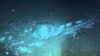 THE BERING SEA SUBMARINE ADVENTURES - Trawl Scars
