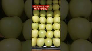 just a reminder to eat some fruits #shortsafrica #augdailyshorts #apples #healthyfood