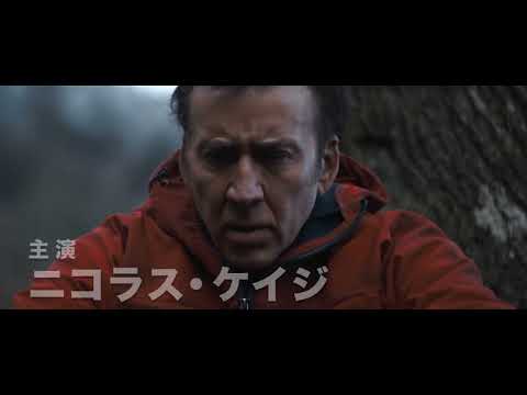 ニコラス・ケイジのプロフィール・出演作品 | Filmarks