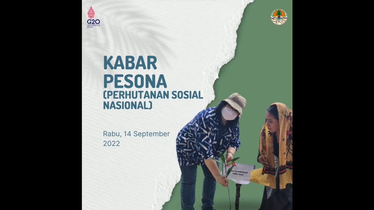 KABAR PESONA (PERHUTANAN SOSIAL NASIONAL) RABU, 14 SEPTEMBER 2022
