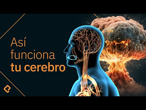 Qué es el estrés y cómo manejarlo