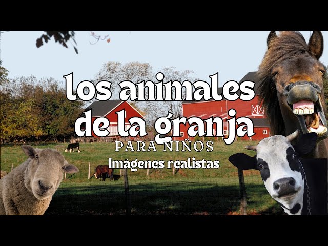 Vídeo relacionado con HappyKidsClub Juguete Granja Montessori Bebés 1-4 Años, Set Granja Interactiva - Granero Desplegable con 9 Animales y Granjero - Juguete Educativo Seguro para Niños Bebés (Lindo)