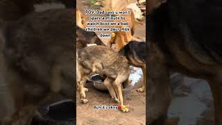 Spare a minute to watch #music #dogs #aesthetic #slowed #dogs #lazybones #aamilne #wuzzles #dangle