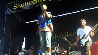 Bad Rabbits Neverland