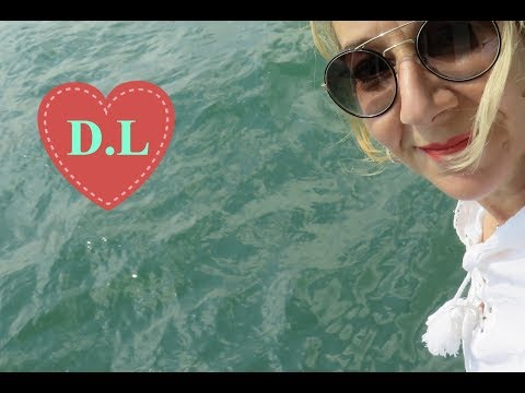 Wie lange führt die Glucke ihre Küken.Und warum werden Küken gemobbt ?