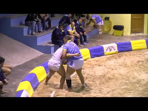 BregandoXlalucha CL Almogaren CL Adargoma 28122019