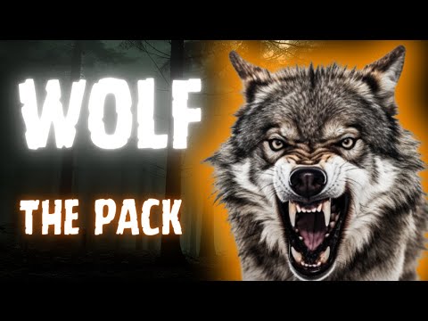 WOLF: Hunting Tactics and Howling