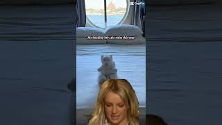 Is cruising an addiction? #cruiseship #cruise #caribbean #cruiselife