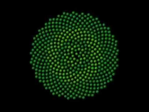 Syjon Fam & Dubrising - Rise Up (feat. Foona)