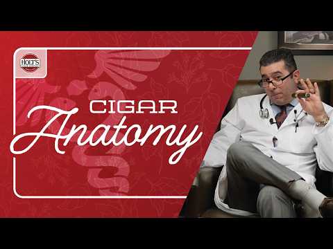 Cigar Anatomy 101: Everything You Need to Know About Premium Cigars