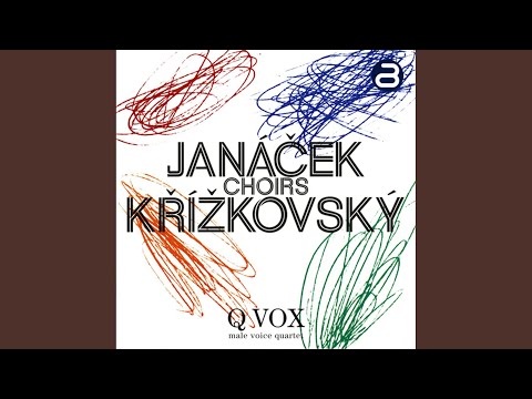 Na kosatej jedli dva holubi seda (Two pigeons are perching on the bushy fir tree) , JW IV/11