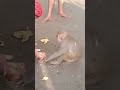 Bhagat Ke Bas Me Hai Bhagwan Song