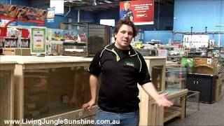 Reptile Enclosure Advice | Living Jungle Pet Store Melbourne