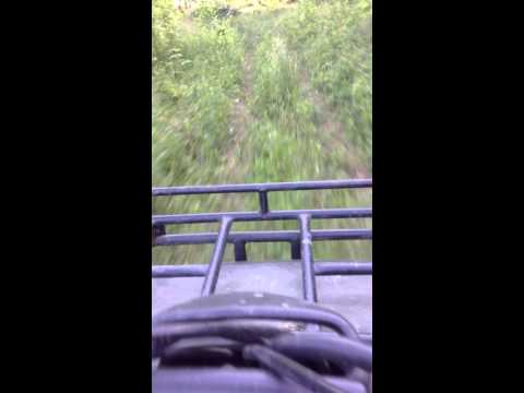 Four wheeling part 2: So Much Weed!!!
