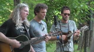 CARBON LEAF  -Block of Wood-