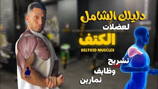 دليلك الشامل لعضلات الكتف | Deltoid Muscles Anatomy and Workouts 👌✨