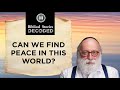 Biblical Stories Decoded: Can We Find Peace in this World?