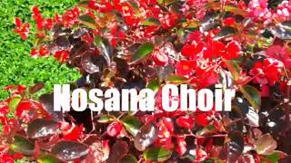 Download lagu HOSANA CHOIR : HAI SIARKAN DI GUNUNG mp3
