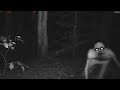 ARE YOU AFRAID OF THE DARK DONT WATCH IF YOU ARE NOT BRAVE
