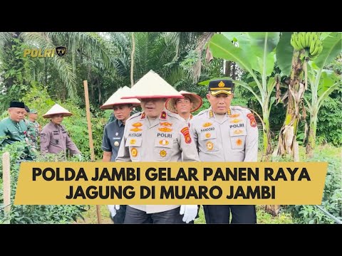 POLDA JAMBI GELAR PANEN RAYA JAGUNG DI MUARO JAMBI