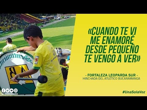 Cuando te vi me enamoré - Fortaleza Leoparda Sur | Letra