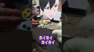 ホイホイホイホイホイ！#cat