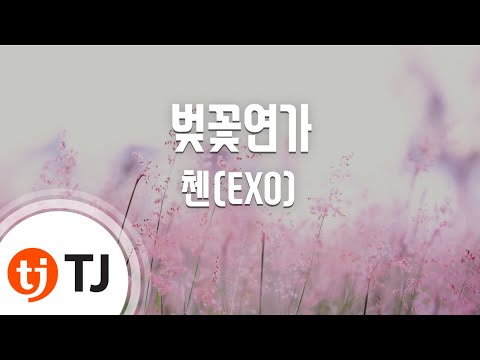 [TJ노래방] 벚꽃연가 - 첸(EXO)(CHEN) / TJ Karaoke