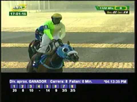 Resumen Domingo, 17 de Enero de 2016 - La Rinconada