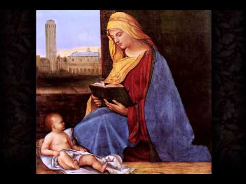 Johann Schelle - Komm, Jesu, komm - Collegium Vocale Ghent, Mields, Witmer, Guillon, Hobbs, Kooij