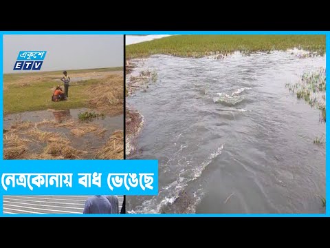 বাধ ভেঙে ফসলের ক্ষতি