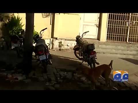 Karachi Ki Adalaten bhi Kuttu Se Mehfooz Nahi