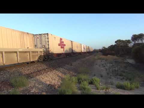 6MP9 SCT002 / LDP001 & CSR002 at Yumali S.A. 26.1.2019