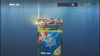 R6S　アルファパック開封！！