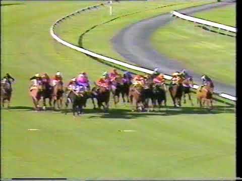 1991 Goodwood Morphettville