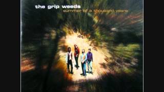 THE GRIP WEEDS    She surrounds me