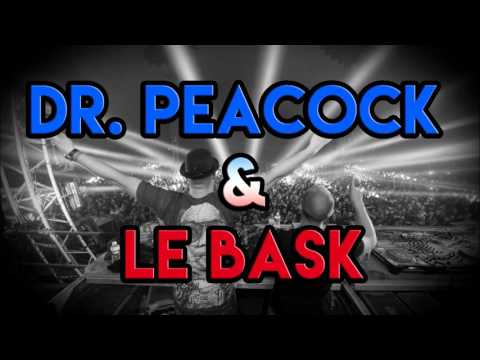 Dr. Peacock & Le Bask @ Insane Festival 2016